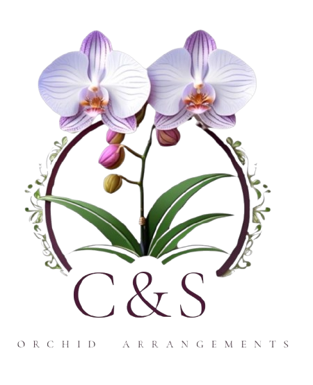 C&S Orchid Arrangements